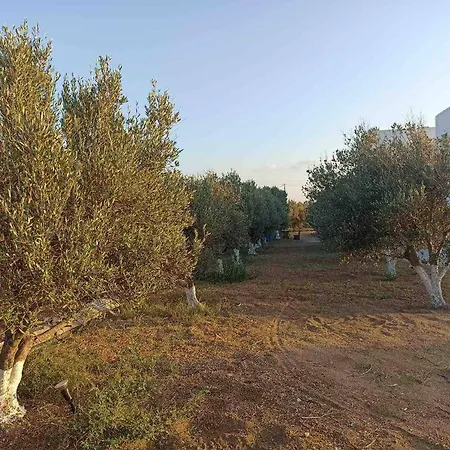Eleonas I דירה